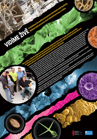poster14.jpg