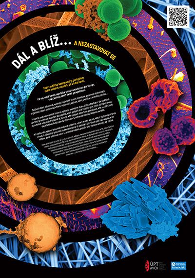 poster15.jpg